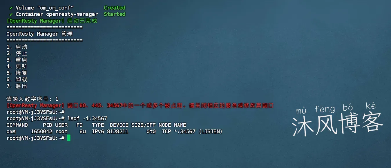 面板党狂喜！OpenResty Manager 一站式WEB轻量化管理+反向代理+SSL的快速部署体验